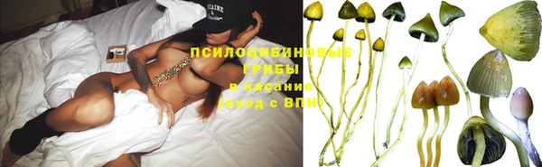 стафф Верея